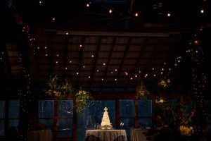 A few strands of bulbs help accentuate the theme during a wedding reception. Photo Credit: Rae Leytham Photography